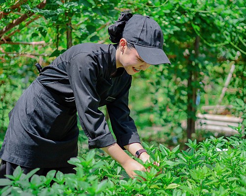 Chef's Garden