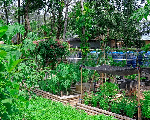 Chef's Garden
