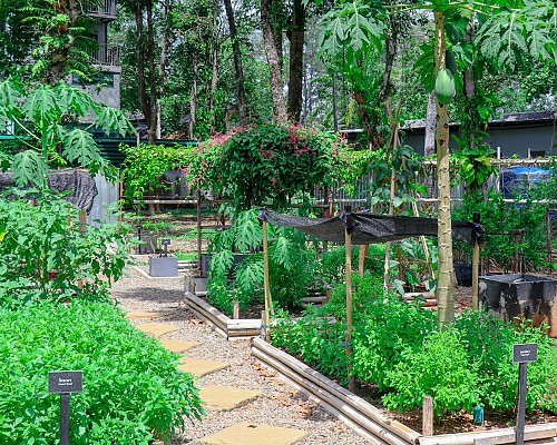 Chef's Garden