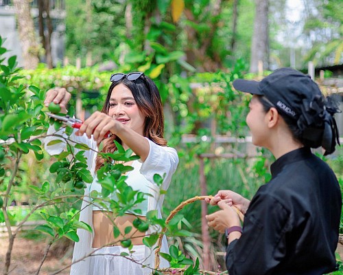Chef's Garden